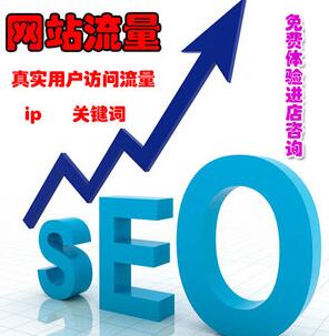 网站流量
